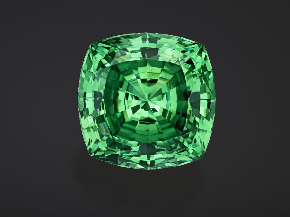 The Story Behind the Smithsonian’s Newest Gem: the Exquisite Lion of Merelani