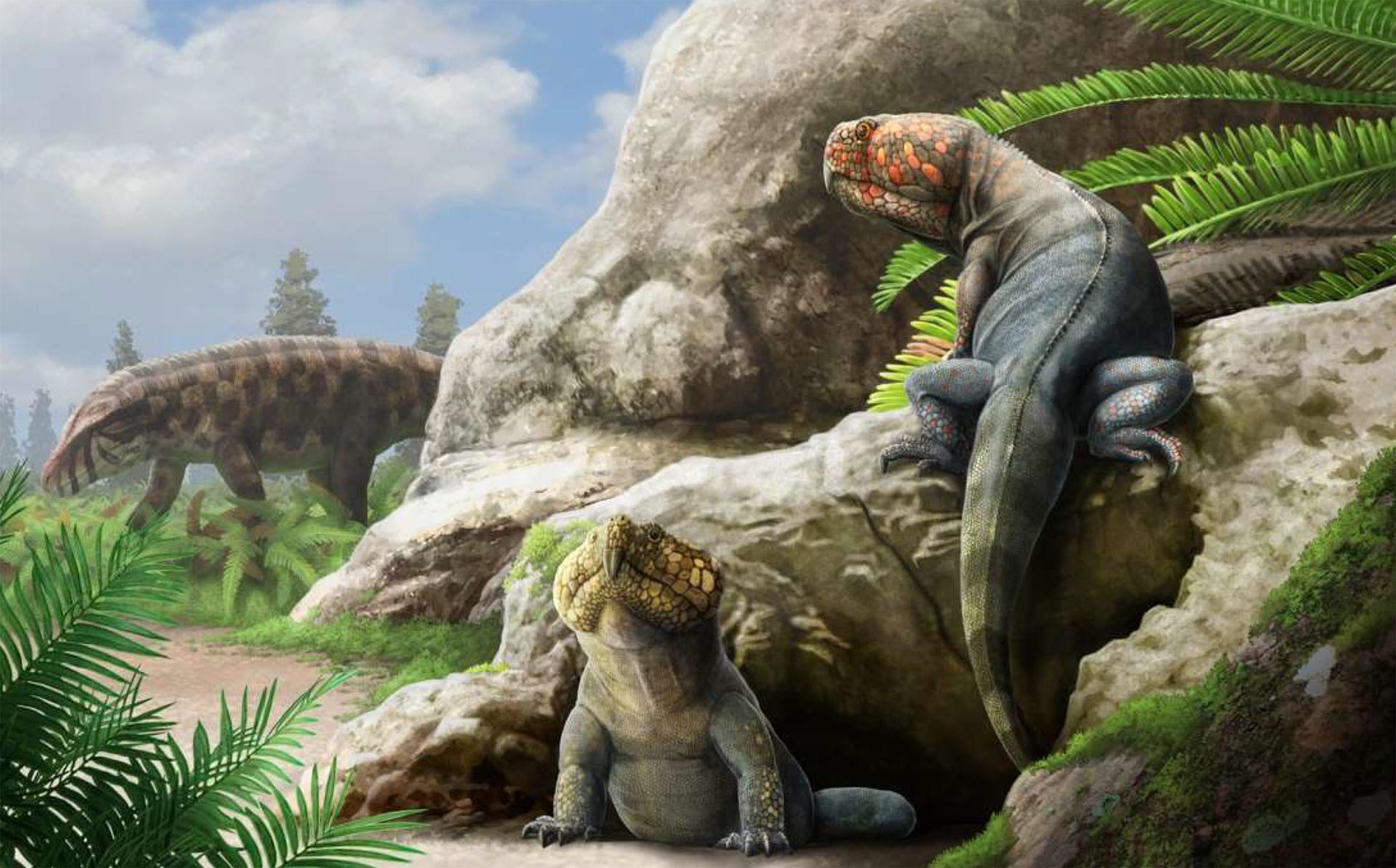 New Species of Rhynchosaur Unearthed in Wyoming