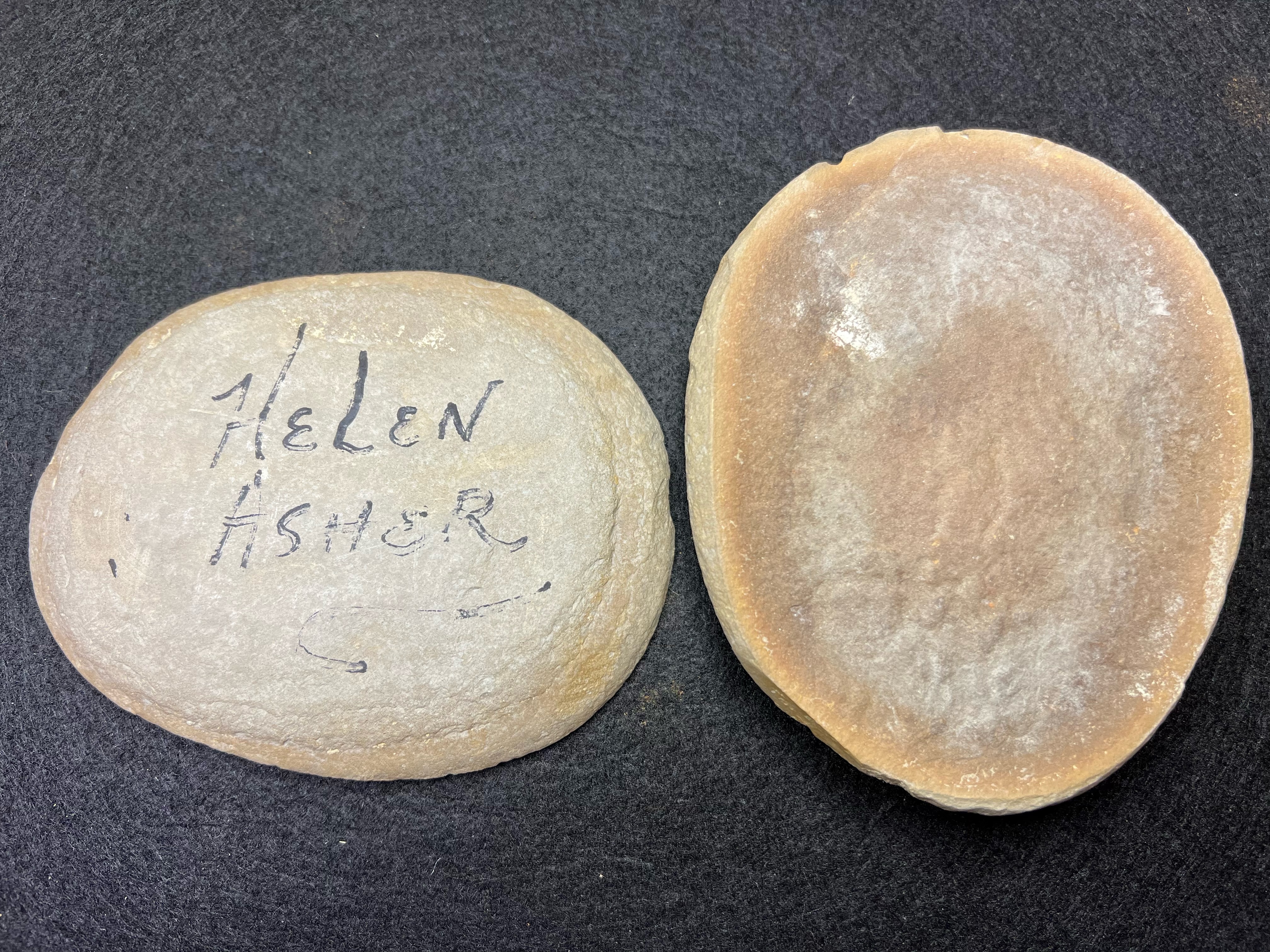 Fossil Friday #158: Helen Asher Cnidarian