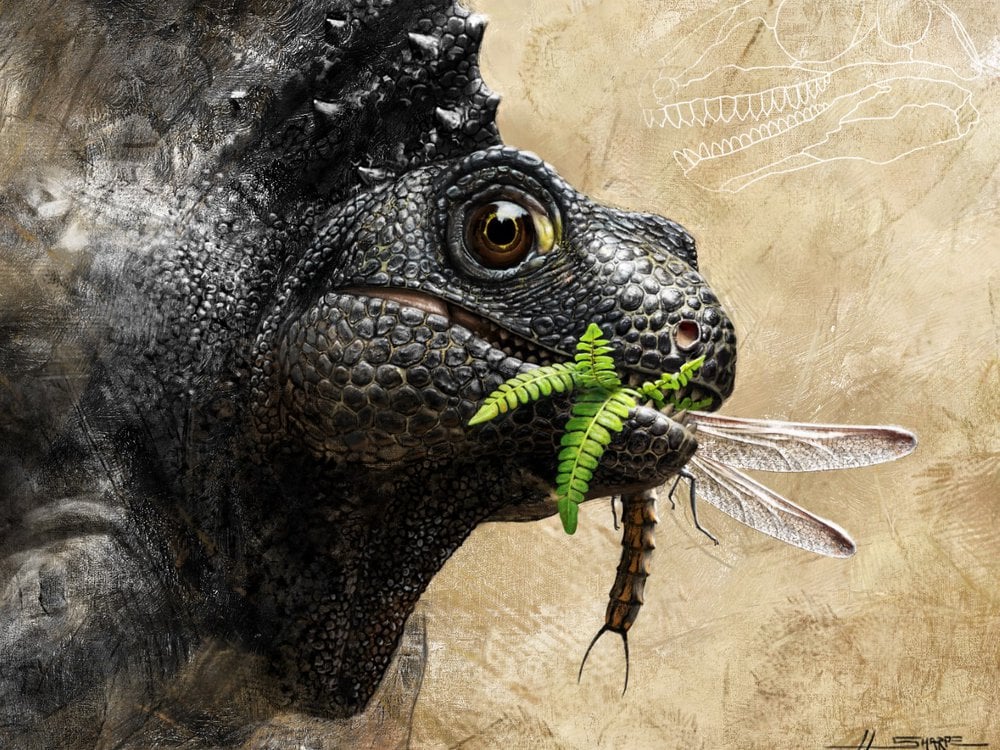 Mazon Monday #159: A new Carboniferous edaphosaurid and the origin of herbivory in mammal forerunners