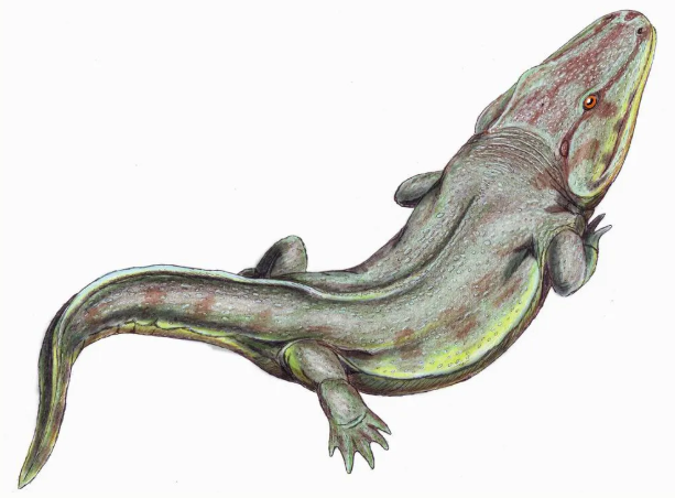 Smithsonian: Paleontologists Uncover Fossil Impressions of Giant, Alligator-Like Amphibians