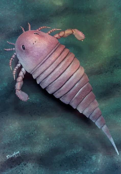 Earliest sea scorpion from China found in end-Ordovician Anji Biota in Zhejiang