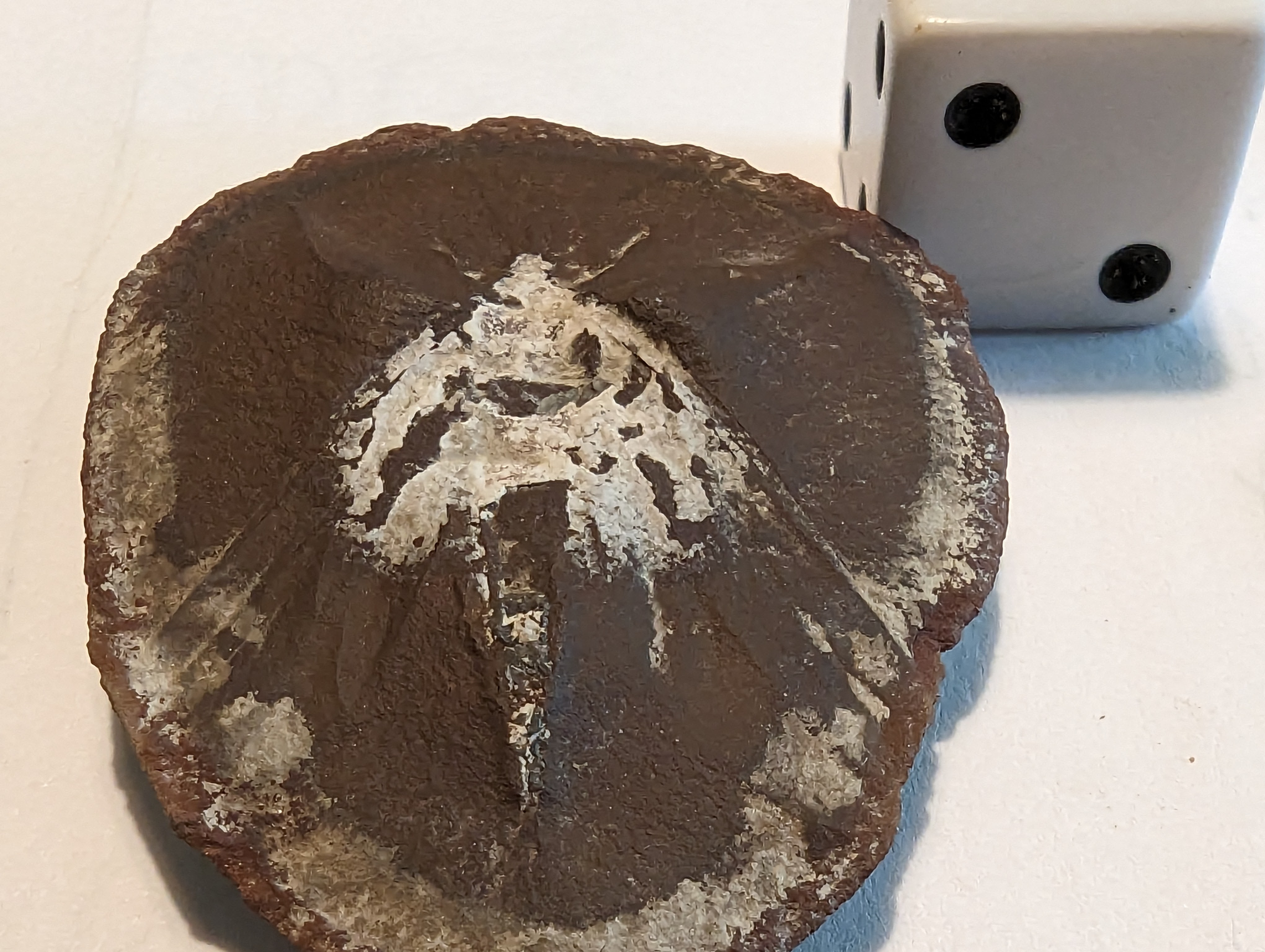 Fossil Friday #165: “Take ALL Fragments Home With You!!!”