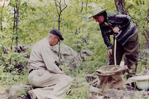 Throwback Thursday #165: Summer Collecting Poem