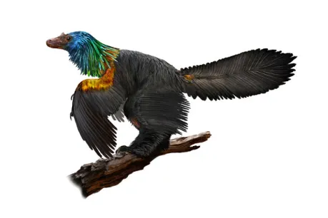 How Did Birds First Take Off?