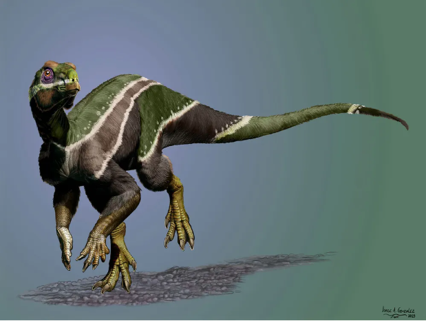 New Beaked Dinosaur Species Found in Utah