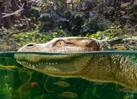 Fossil of Deep-Snouted Alligator Species Found in Thailand