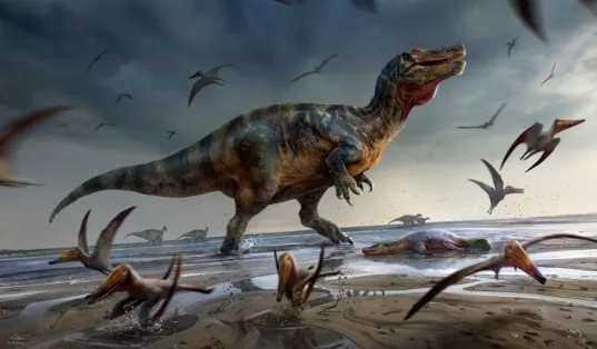 Shattering Preconceptions: Diverse Spinosaur Species Roamed Cretaceous Britain