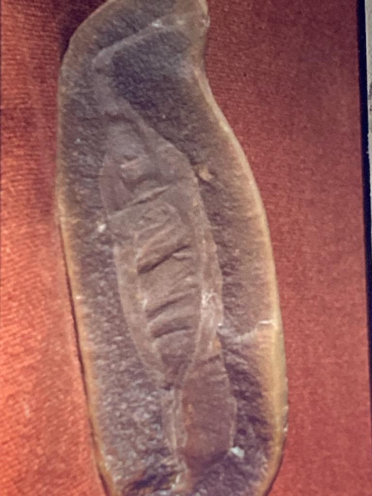 Mazon Monday #179: Mr Tully’s Tullys