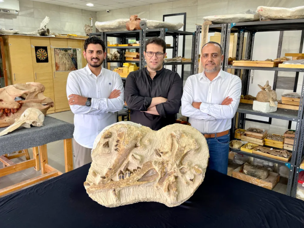 Fossil of Tiny, Extinct Whale Discovered in Egypt, Named for King Tut