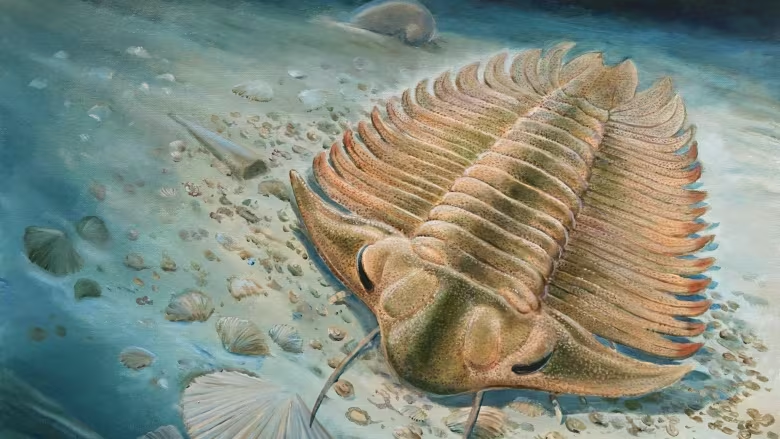 Trilobite Tuesday #46: Trilobite’s last meal