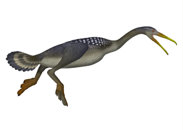 During the Age of Dinosaurs, Some Birds Sported Toothy Grins