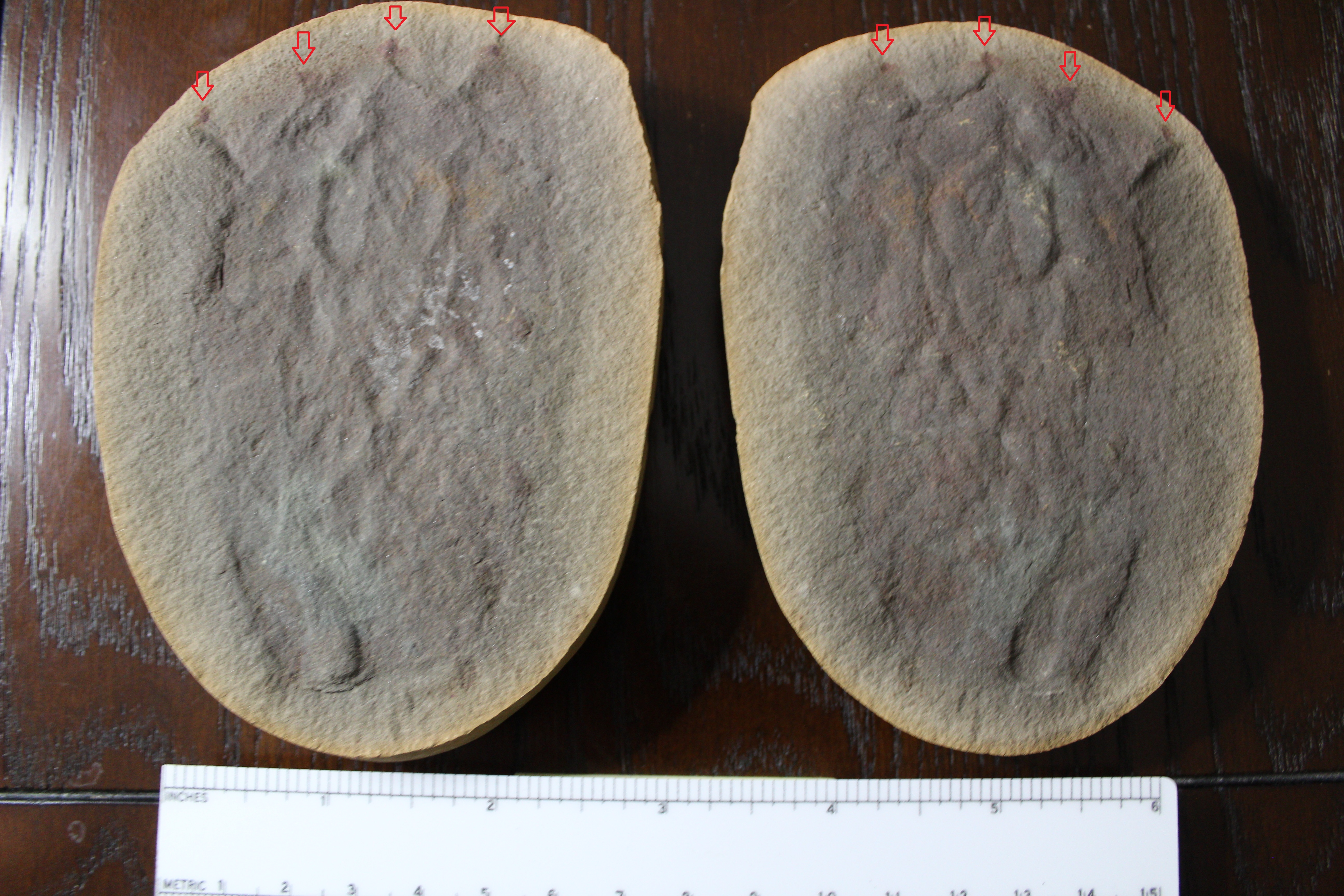 Reminder: ESCONI General Meeting on October 12th, 2018