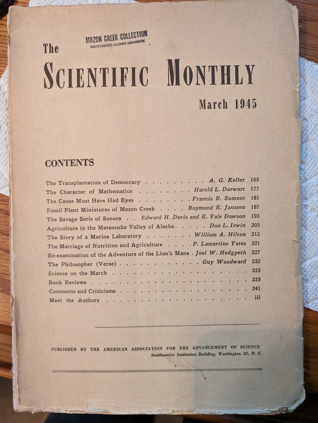 Mazon Monday #189: Fossil Plant Miniatures of Mazon Creek