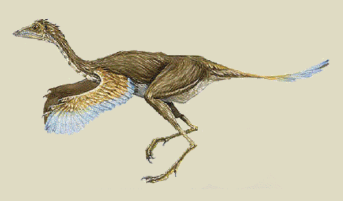 Throwback Thursday #186: Looking Back At ESCONI for November 2023