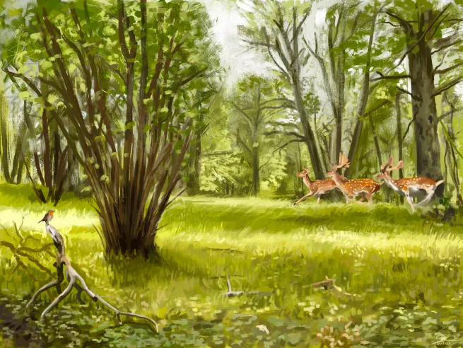 New study shows ancient Europe was not all forest, half was covered in grassland