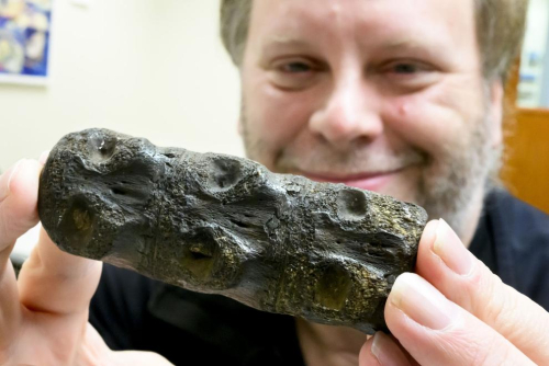 Fossil find in northwest Iowa is one of a kind