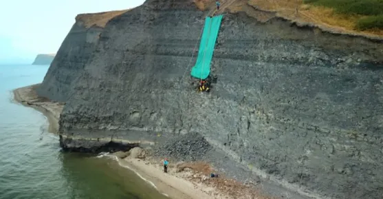 BBC: Pliosaur discovery: Huge sea monster emerges from Dorset cliffs