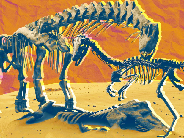 The Top Ten Dinosaur Discoveries of 2023