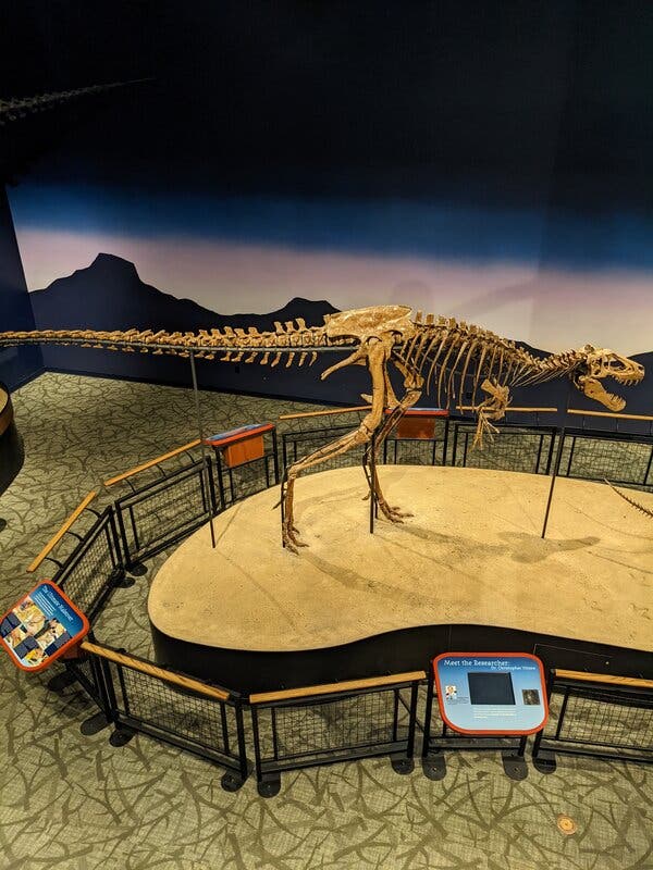 What’s in a Name? The Battle of Baby T. Rex and Nanotyrannus