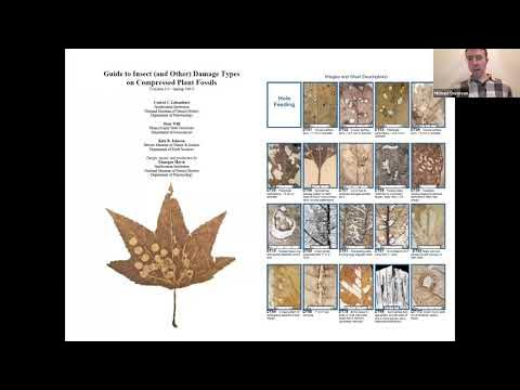 Video for ESCONI December 2023 General Meeting – “Ancient Forest Pests: Plant-Insect Interactions in the Fossil Record”