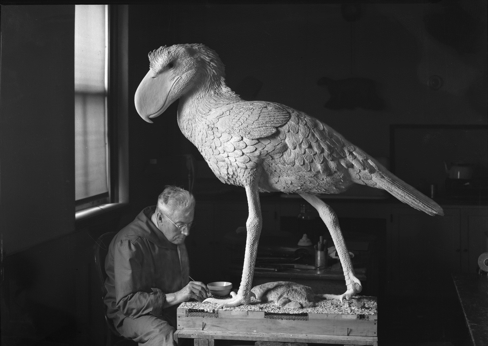 Throwback Thursday #200: Field Museum – Terror Birds