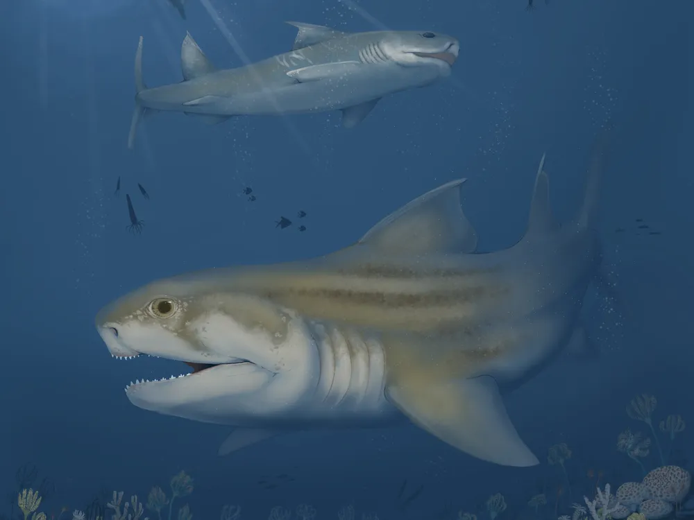 Paleontologists Discover Two New Shark Species From Fossils in Mammoth Cave National Park