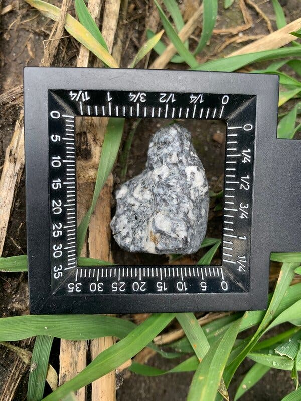 Fragments of Asteroid With Mystery Origin Are Found Outside Berlin