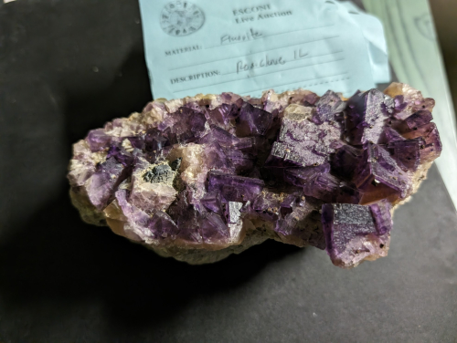 2024 ESCONI Gem, Mineral, and Fossil Show – Preview #2!