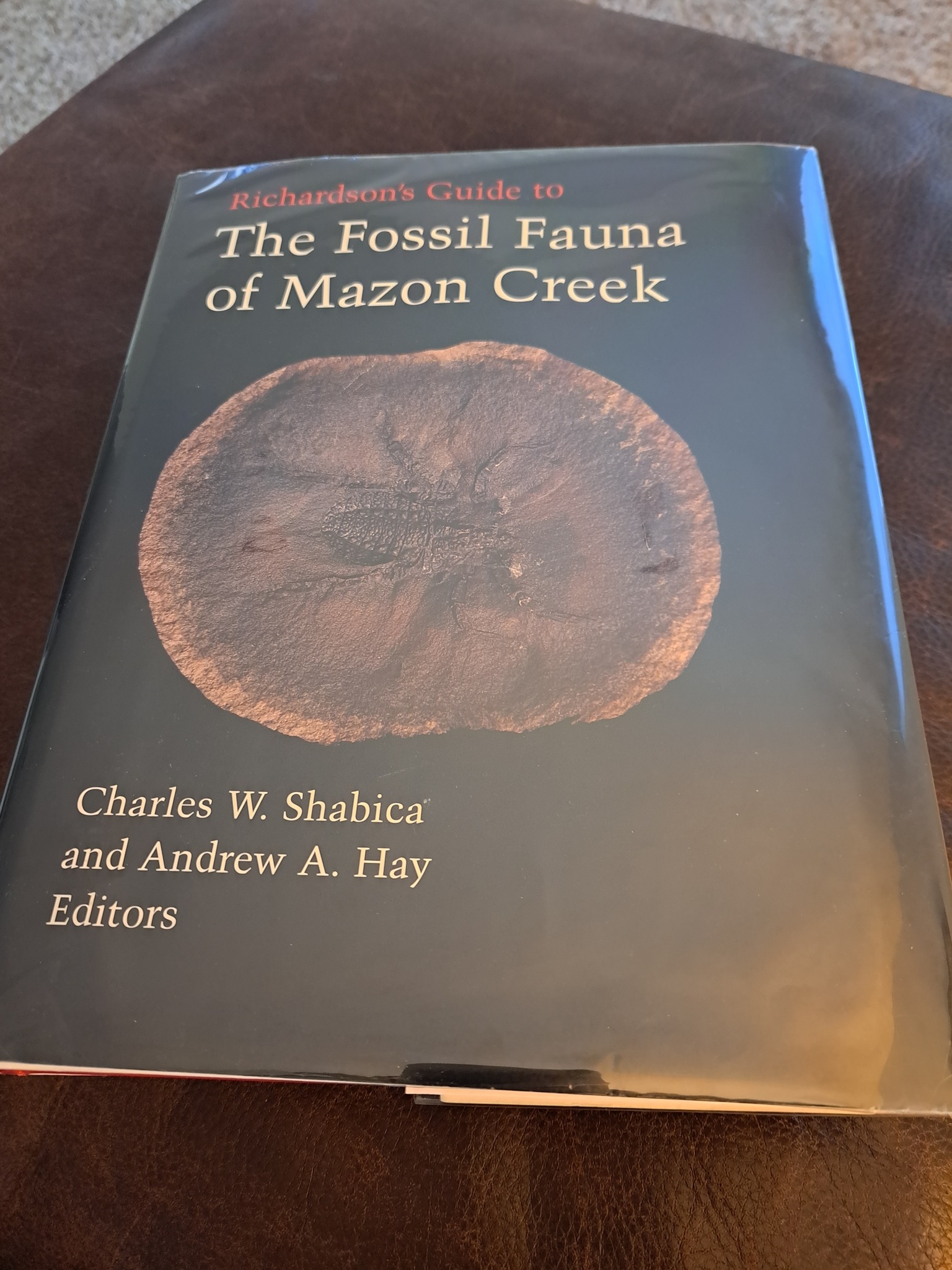 Mazon Monday #208: A Very Special Book