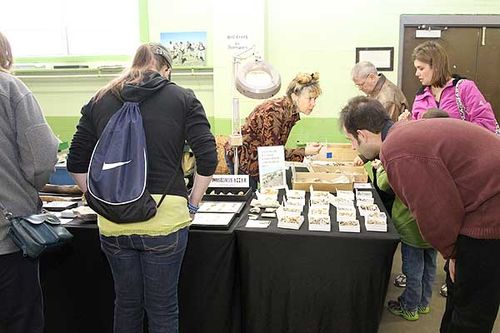 Throwback Thursday #205: 2013 ESCONI Show