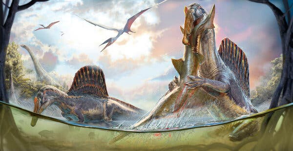 A Swimming Dinosaur? Maybe Not, Study Says