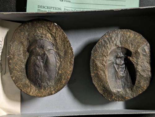 2024 ESCONI Gem, Mineral, and Fossil Show – Preview #17!