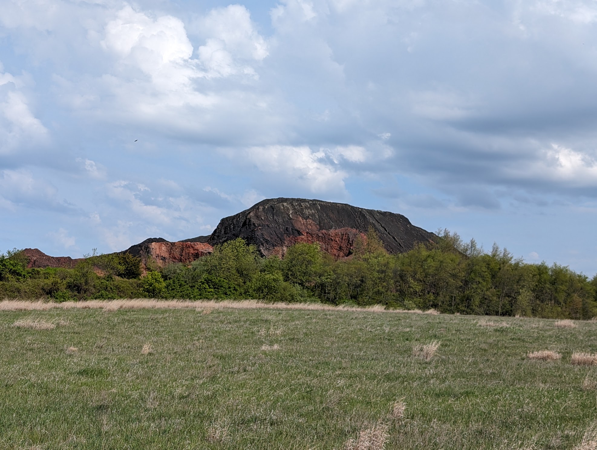 Mazon Monday #215 – Field Trip Report for the Danville Spoil Pile