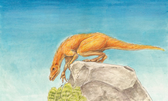 New Species of Jurassic Theropod Dinosaur Identified in England