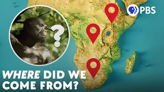 PBS Eons: There’s No Single Cradle of Humankind