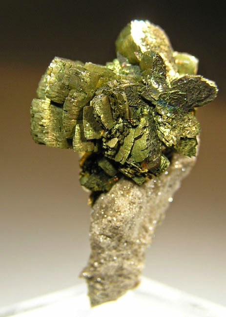 Throwback Thursday #217: Looking Back at ESCONI for June 2024