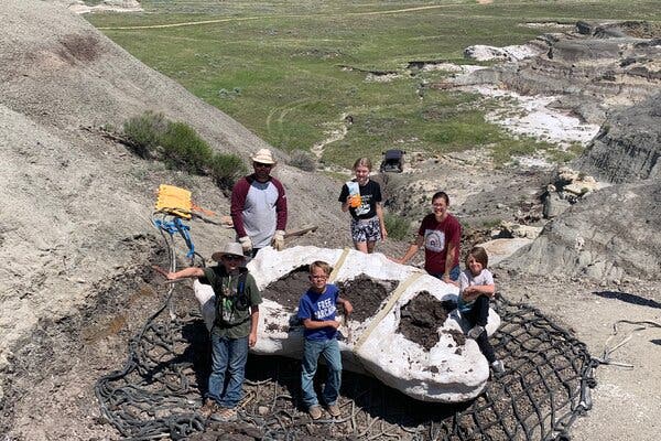 Family Discovers Rare T. Rex Fossil in North Dakota