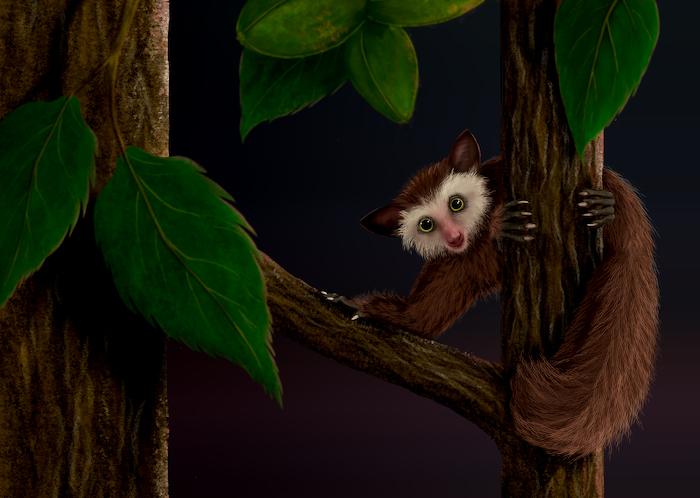 ESCONI June 2024 General Meeting – June 14th, 2024 at 8:00 PM via Zoom – “A North American fossil primate called Ekgmowechashala”