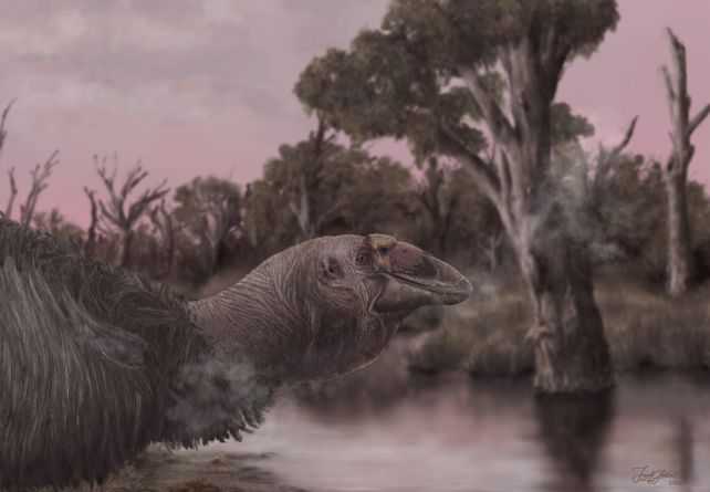 Giant ‘Giga-Goose’ Once Thundered Across Prehistoric Australia