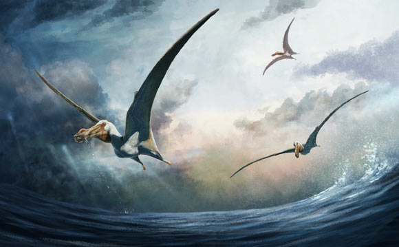 New Flying Reptile Fossils Found in Australia