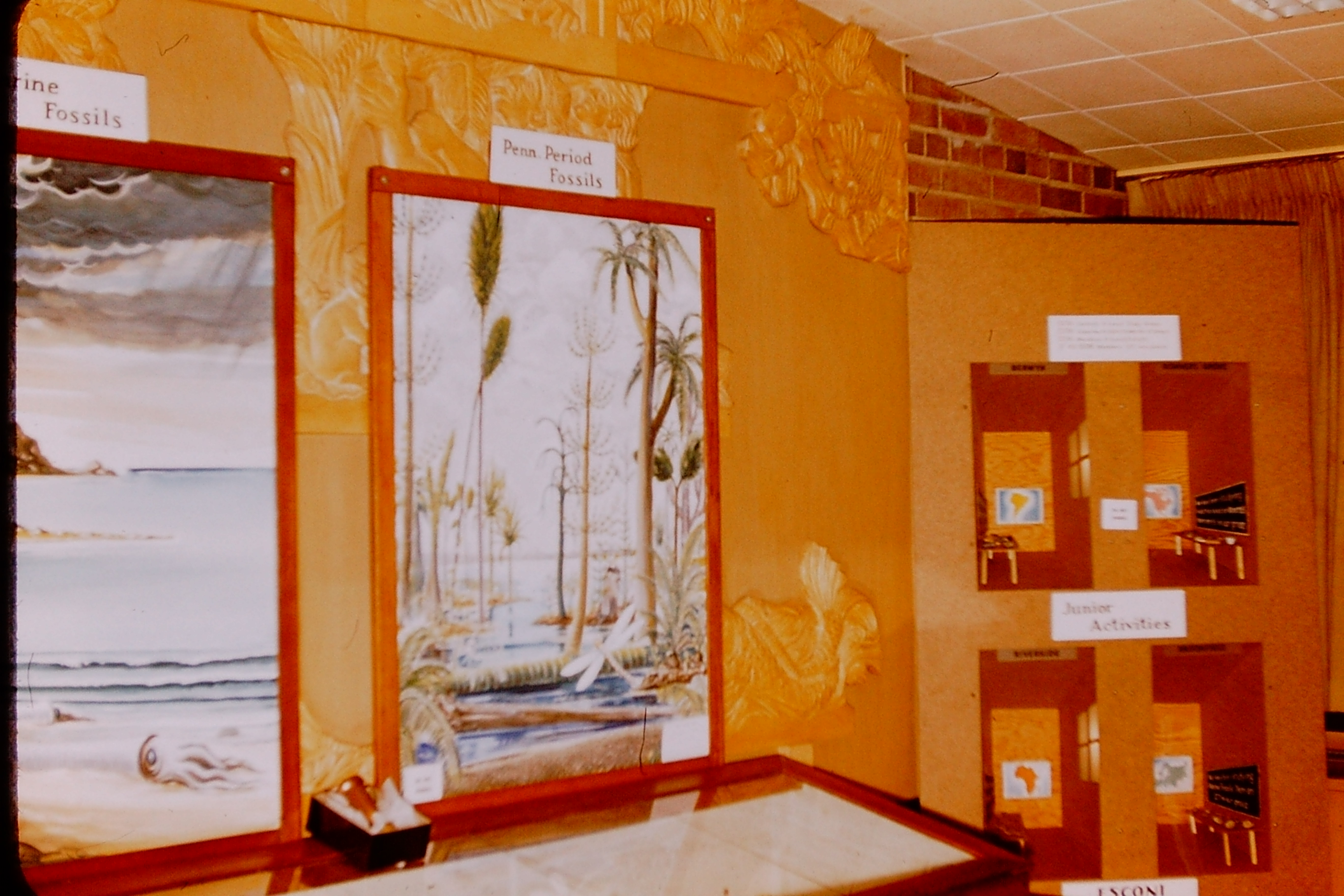 Throwback Thursday #228: Midwest Federation Convention 1956