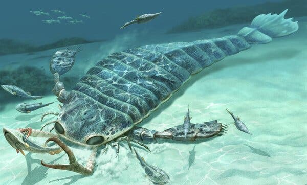 Fossils Show Giant Predatory Sea Scorpions Were Distance Swimmers