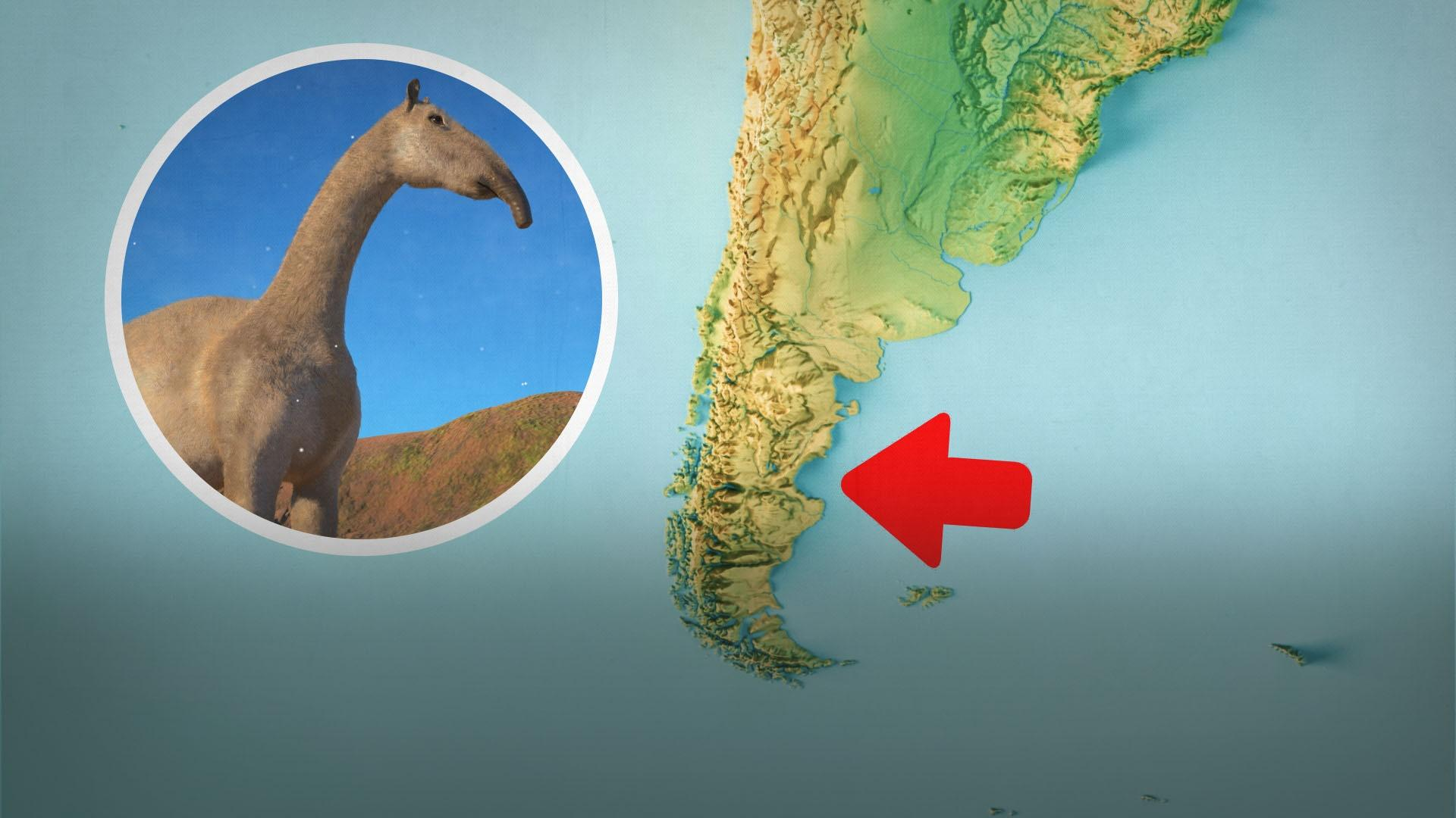 PBS Eons: The Mystery of South America’s False Horses