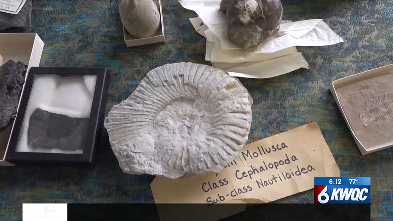 Grand Opening of the Cambridge Natural History Museum