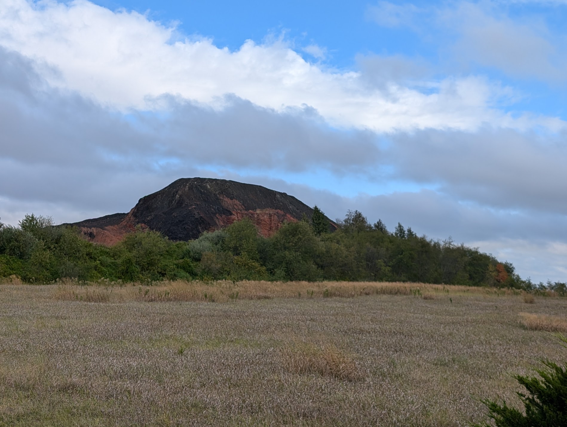 Mazon Monday #237: Danville Field Trip Report for Fall 2024