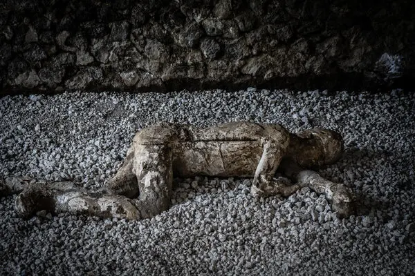 With DNA, Pompeii Narratives Take a Twist
