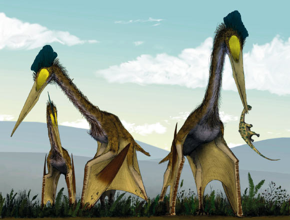 New Pterosaur Species Discovered in Japan