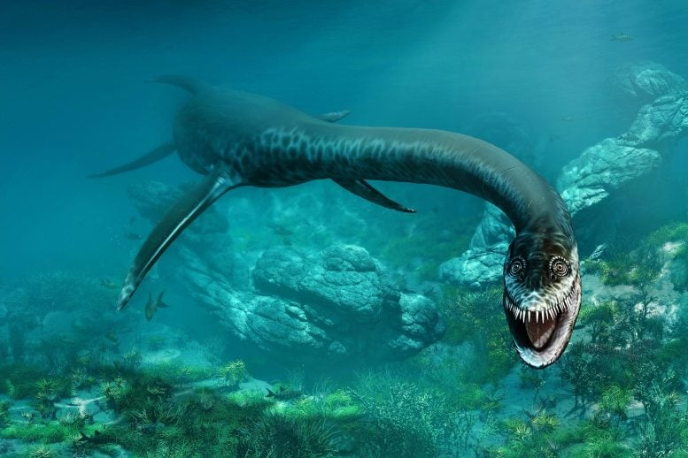 Paleontologists Crack Plesiosaur “Four-Wing” Mystery
