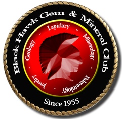 Throwback Thursday #248: The Afternoon Search #history